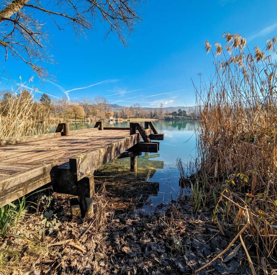Entre Lacs Et Montagnes Apartment *